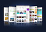 create your wordpress ecommerce website or business  website